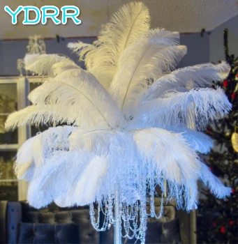 

wholesale decorative cranival feathers dyed feather different colors ostrich feathers white feather plumes for wedding centerpie