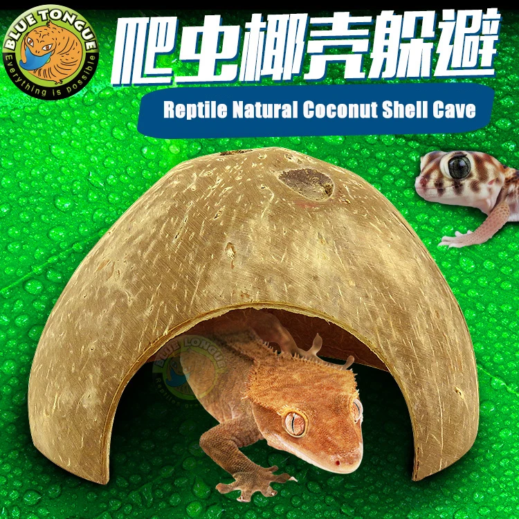 Reptile Hidden Cave Natural Coconut Shell Lizard Gecko Spider Scorpion Hermit Crab Pet Snake Box Landscaping Decorations