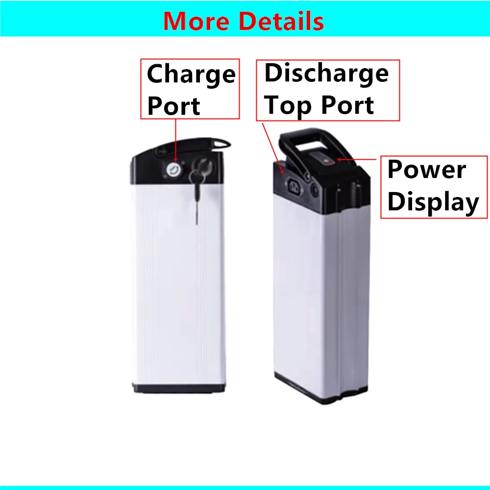 Silver Fish Electric Bike Battery 48V 20Ah 25Ah 30Ah City Commuter Bike Ebike Battery with Charger 500w 750w 1000w