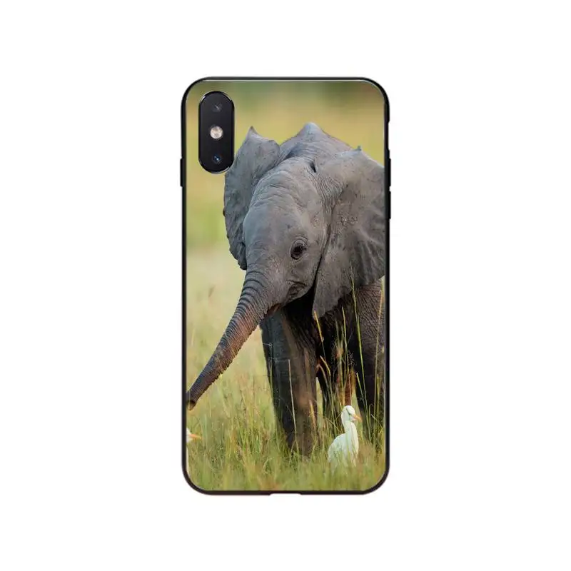 cute elephant Phone Case For iPhone 15 14 13 12 11 Pro Max 12 mini XS MAX XR SE2 8 7 Plus X