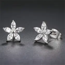 Double Fair Wintersweet AAA+Cubic Zircon Silver Color Stud Earrings HotSale Crystal Fashion Jewelry For Women DFE008