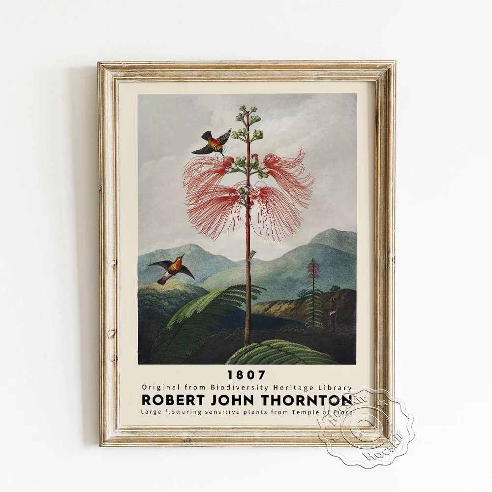 Robert Plant Pictures: A Guide to Finding the Perfect Art for Your Home