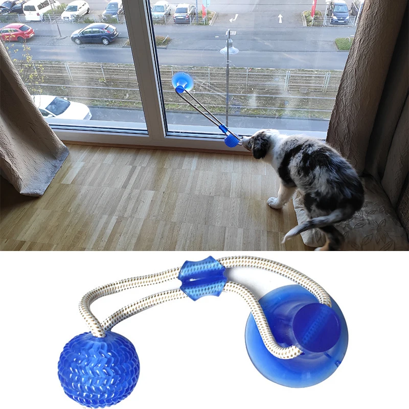 Hund Spielzeug Pet Welpen Interaktive Saugnapf Drücken TPR Ball Spielzeug Molaren Biss Spielzeug Elastische Seile Hund Zahn Reinigung Kauen liefert