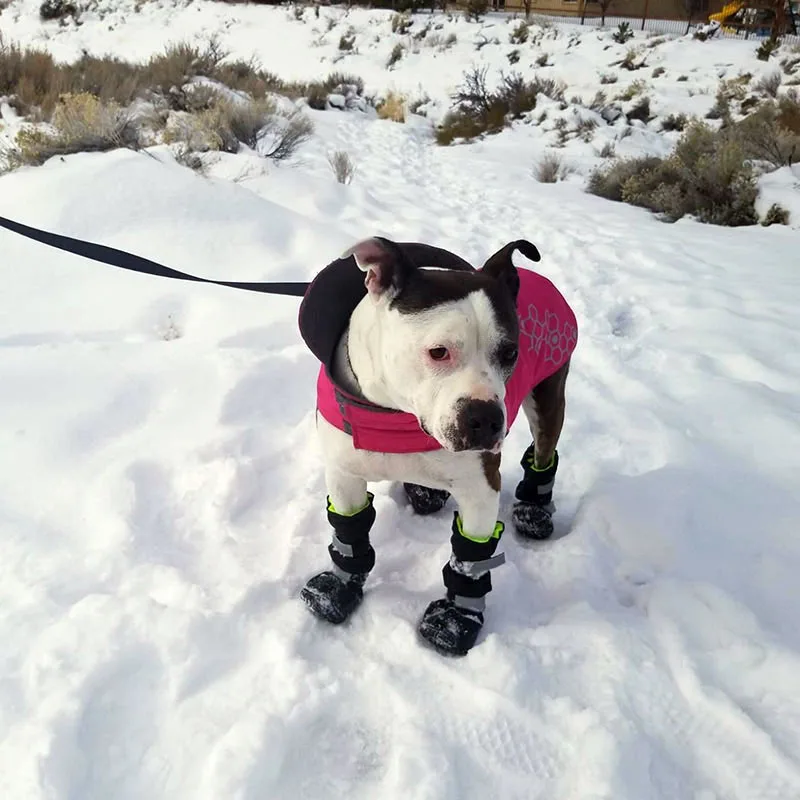 Imagem -05 - Botas para Cachorro à Prova Dágua Sapatos Grandes e Médios para o Inverno Quentes e Antiderrapantes