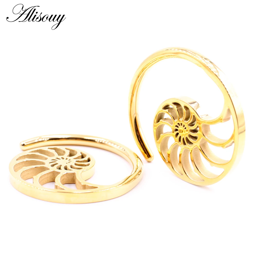Alisouy 1PC Stainless Steel Hollow Spiral Snail Helix Ear Weights Expander Stretcher Plugs Gauge Earring Body Piercing Jewelry