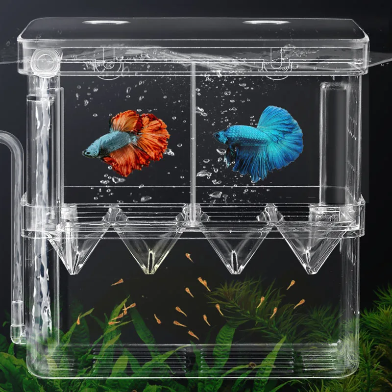 Upgrade akrylowe akwarium hodowca Box hodowla inkubator mała rybka wylęgarnia dla krewetek Clownfish agresywne ryby ranne ryby