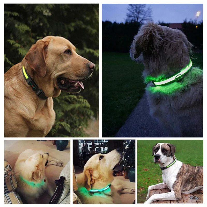 Flashing Led Dog Safety Collar Nylon Luminous Night Dog Band With Usb Rechargeable Glow Bright Safety Collar For Dogs