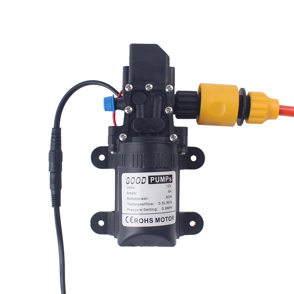 Pulizia elettrica della macchina portatile di cura dell'automobile di cura dell'automobile della rondella di acqua manuale multifunzionale dell'acqua ad alta pressione 12V