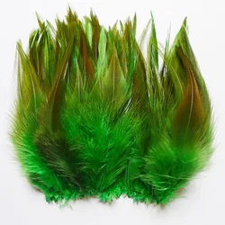 50 pz verde 10-15cm fagiano piume di collo di pollo per artigianato fai da te gallo Plumas gioielli festa di nozze orecchini scarpe accessori