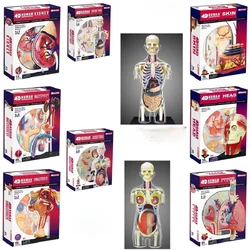 4d ludzkie ciało Torso układ rozrodczy nerka głowy nerwy skóra Model anatomiczny dostawca medyczny nauczanie Puzzle zabawka do montażu