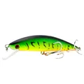 A02 Green Tiger