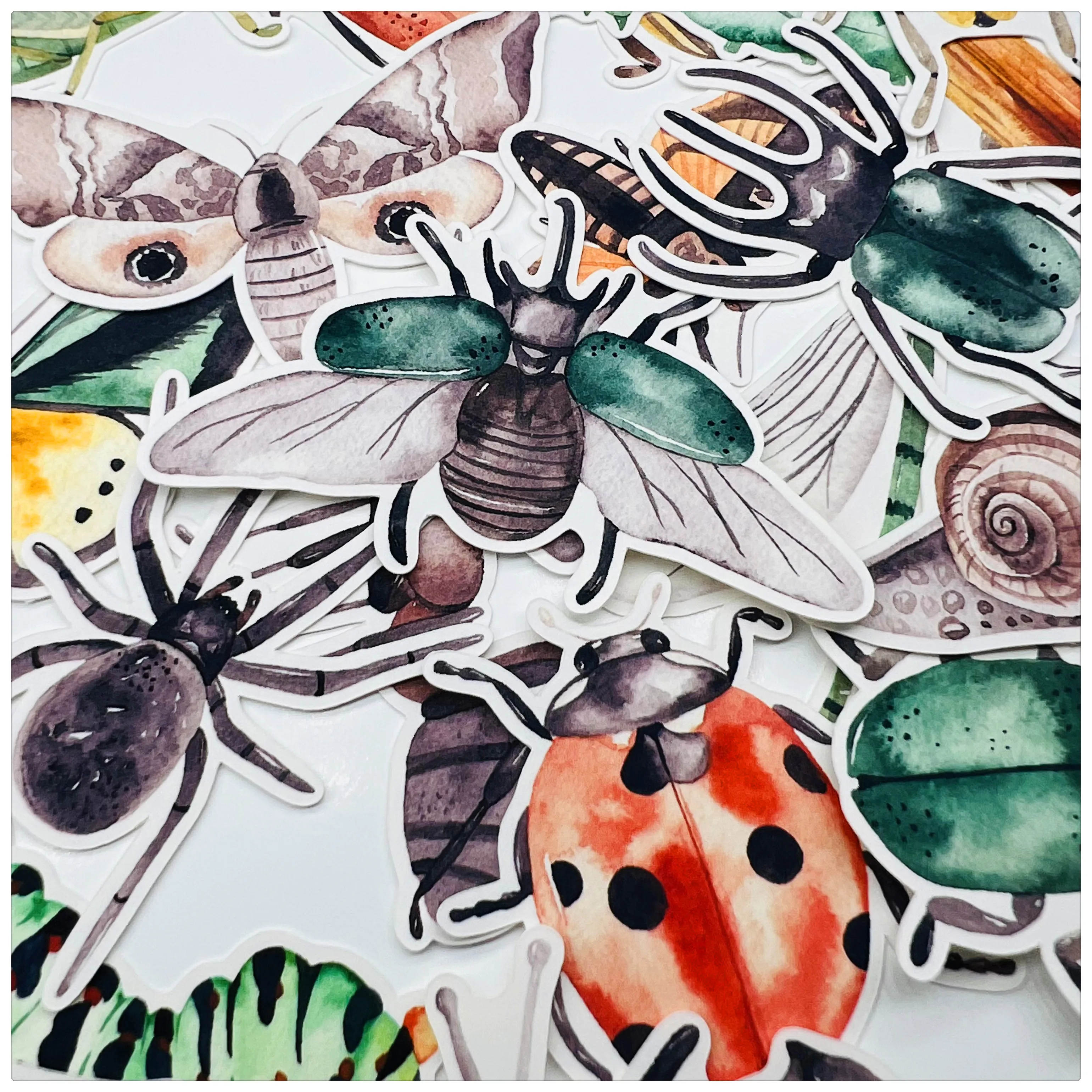 3D Microcosmos Stic… - image