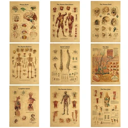 The Body Structure Skeleton Nervous System Vintage Poster Medical Decoracion Painting Wall Art Kraft Paper Wall Stickers