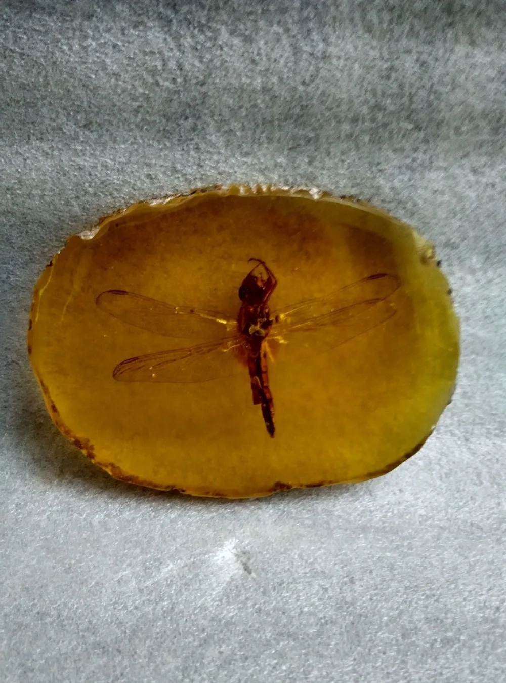 A Collection Of Ancient China.Amber Dragonflies