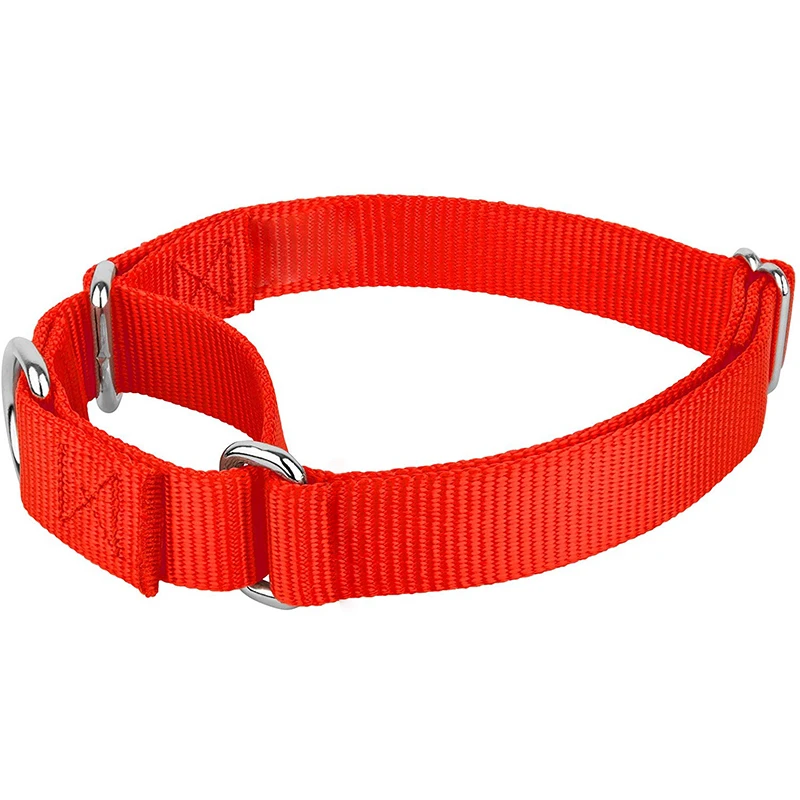 Benepaw Sturdy Martingale Nylon Dog Collar Adjustable Soft Comfortable Puppy Pet Collar For Small Large Dogs Traning Control