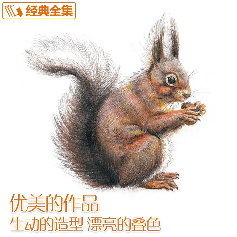 Neuankömmling Buntstift Zeichnung Tutorial Kunstbuch Landschaft/Tier Sukkulenten/Blumen/Foo Basic Tutorial Bild Album