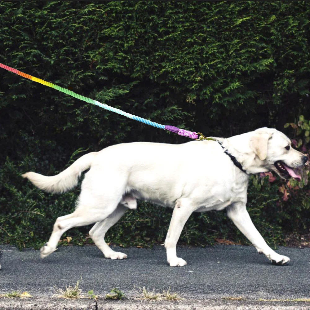 Colorful Dog Leash Round Cotton Dogs Lead Rope Cute Rainbow Pet Long Leashes Belt Outdoor Dog Walking Training Leads Ropes