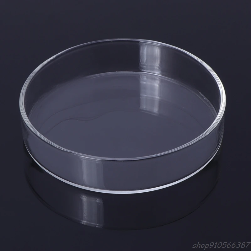 New Arrival Fish Feeder Aquarium Shrimp Glass Feeding Bowl Dish Tray 6 Size O03 20 Dropshipping