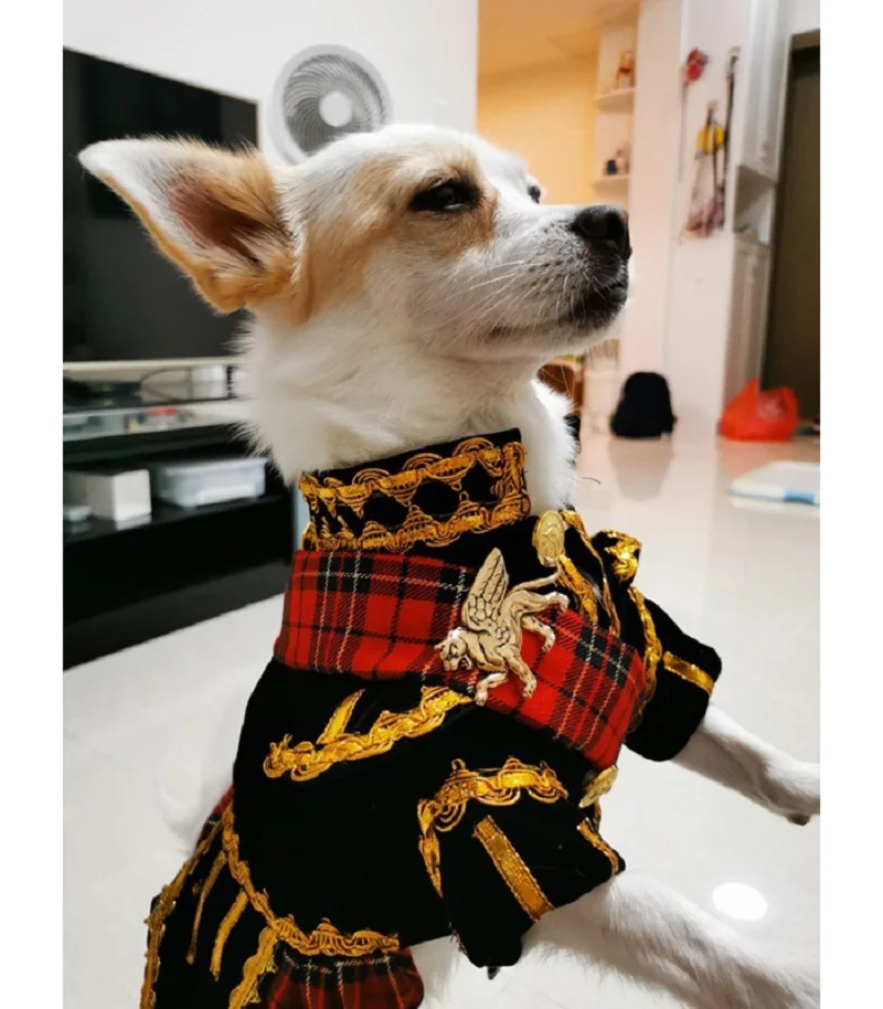 Handmade Dog Clothes Pet Supplies Scottish Plaid Kilt Royal Style Velvet Uniform Tuxedo Suit Cats Poodle Yorkie Maltese Jackets