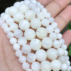 White Natural Mother of Pearl Shell Beads Trochus Wheel Round Spacer Shell Beads for Jewelry DIY Bracelet 15inch 4 6 8 10 12mm