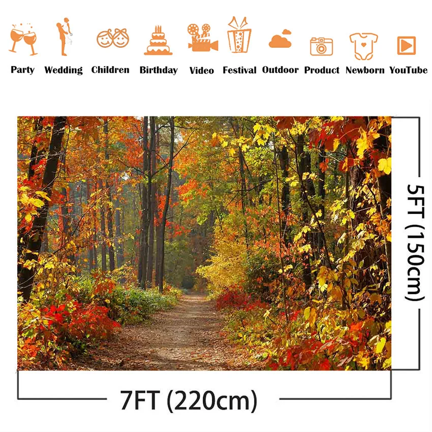 Fondo de fotografía otoño bosque espacio tierra Fondo otoño Hojas de arce camino fondo para estudio fotográfico papel tapiz Póster