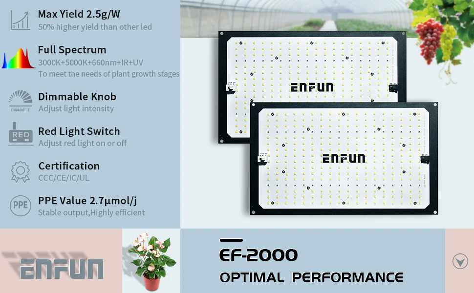 2pcs 240watt lm281  Indoor quantum led grow light full spectrum grow light full spectrum hydroponic systems