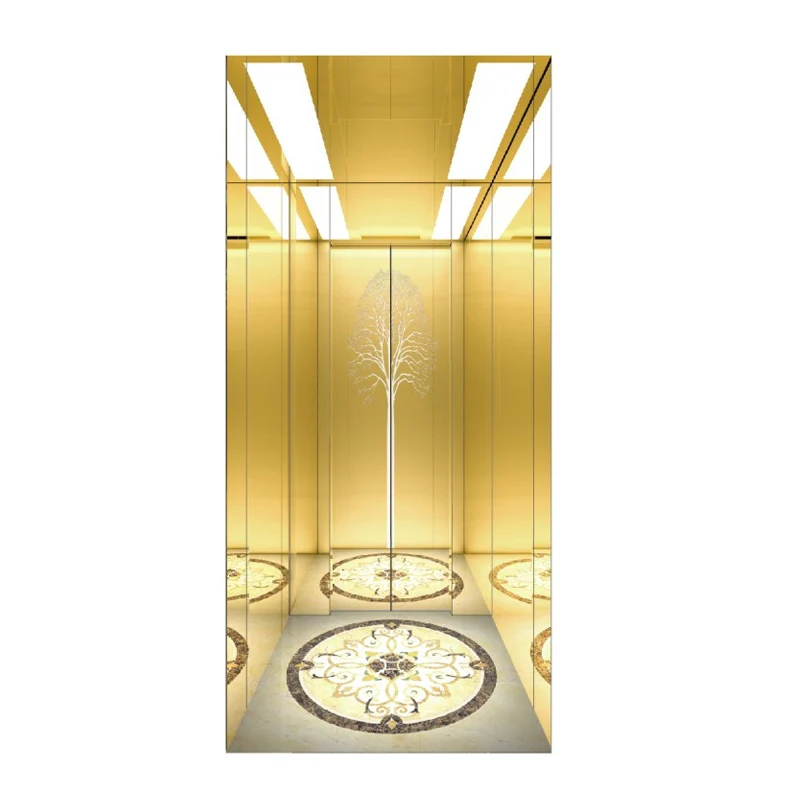 Traction Villa Home Elevator Small Sightseeing Two-Three-Four-Five-Six-Story Machine Room-Less High-Rise Residential Area Lift