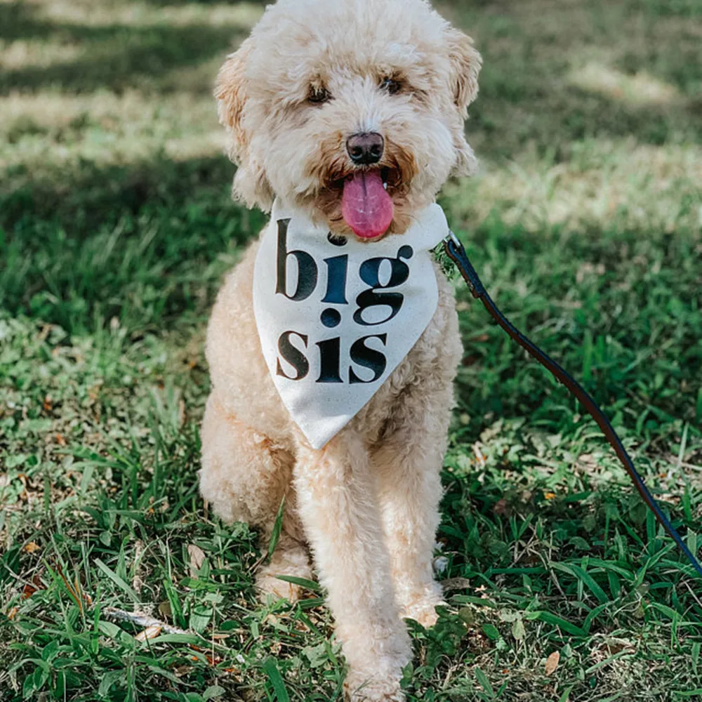 Custom Big brother Dog pregnancy announcement dog bandana baby pregnancy announcement to husband grandparents family solid color