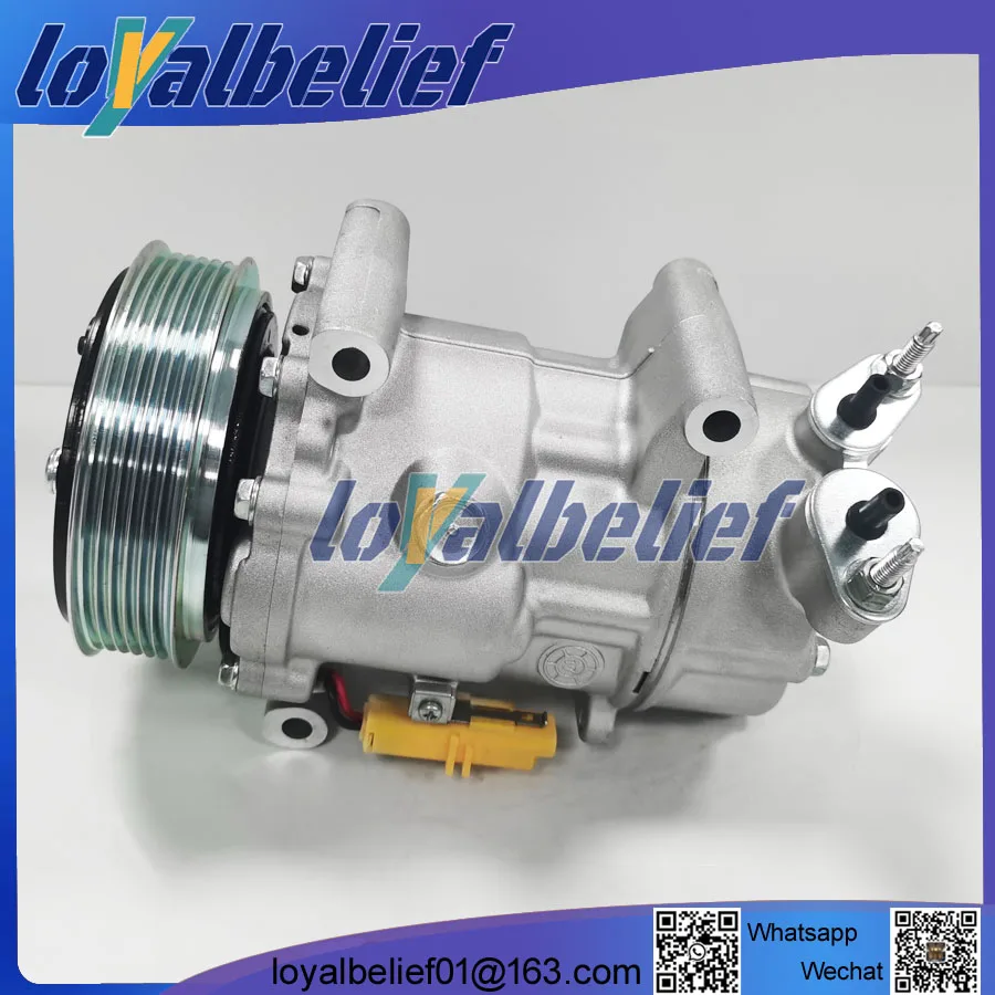 For SD6V12 AC Compressor Peugeot 206 307 Citroen Fiat 1449 1450 6453XJ 6453QG 6453QE 6453Q 9655191680 9671456680 9655191580