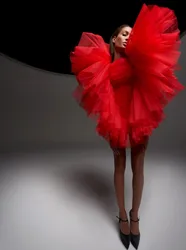 Cute Red Short Girls Prom Dresses Puffy Tiered Ruffles Tulle Show Tutu Women Dress Custom Made