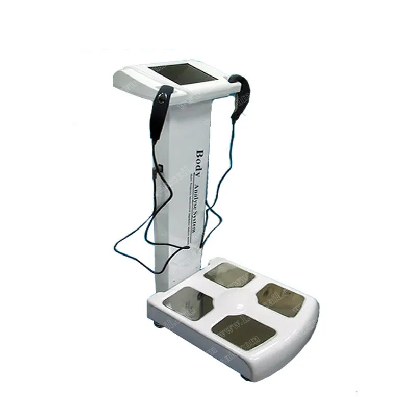 Inbody Phân Tích Lượng Mỡ Cơ Thể Thành Phần Cơ Thể Phân Tích Máy Tập Gym