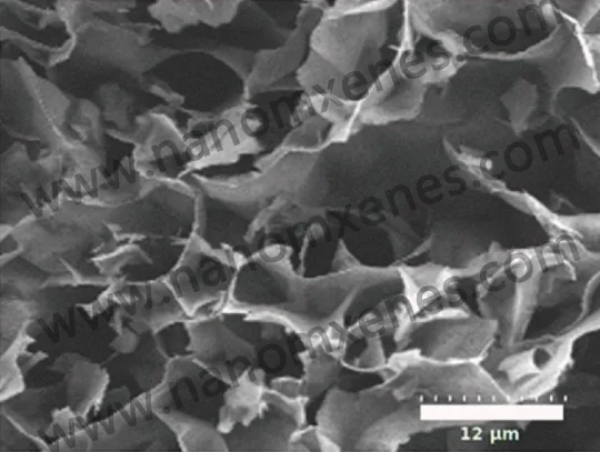 Porous foam mxene V2C