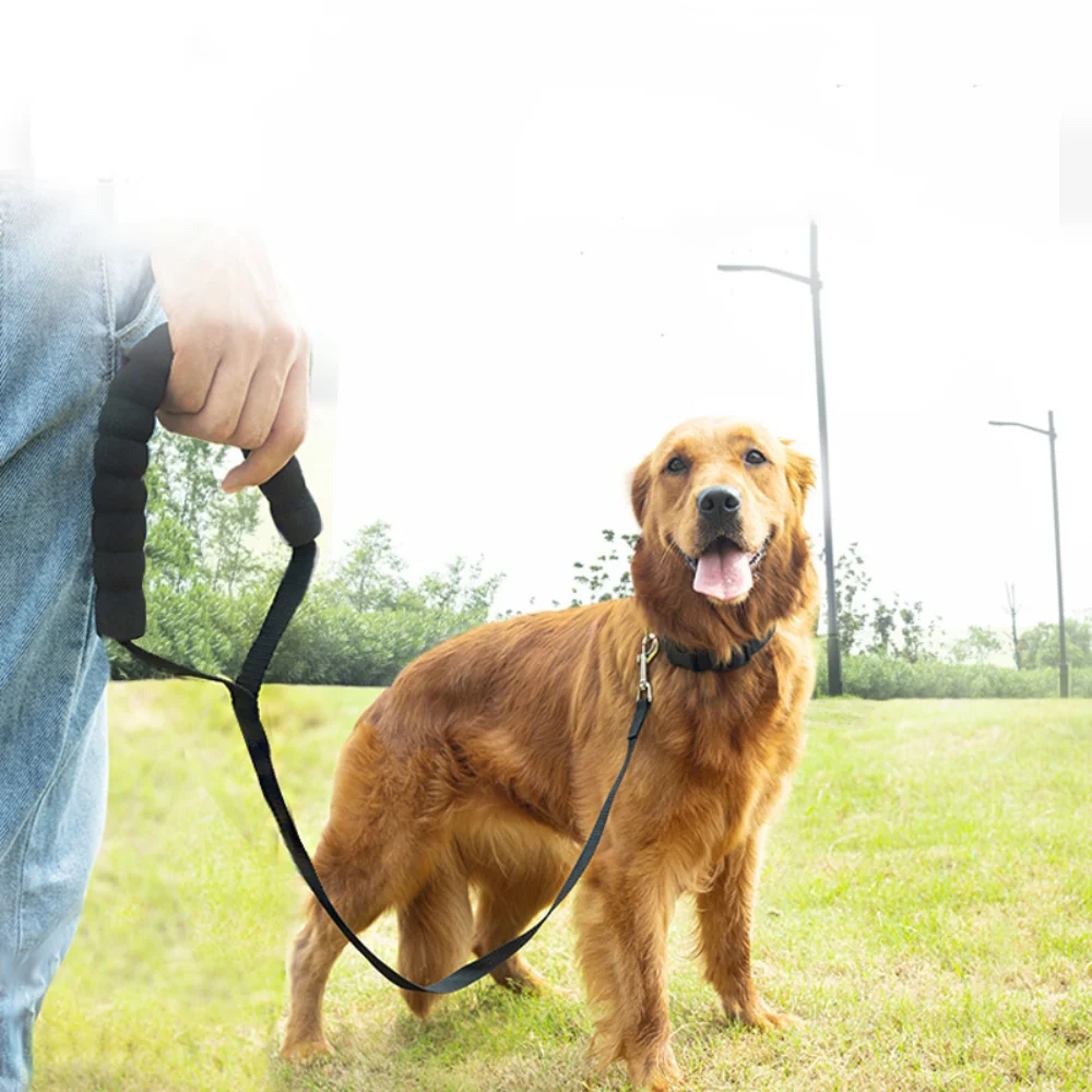 Long Nylon Leash with Comfortable Sponge Handle for Dogs Lanyard Outdoor Training Walk 1.8m 3m 6m 10m 15m 20m 30m 50m Dog Lead