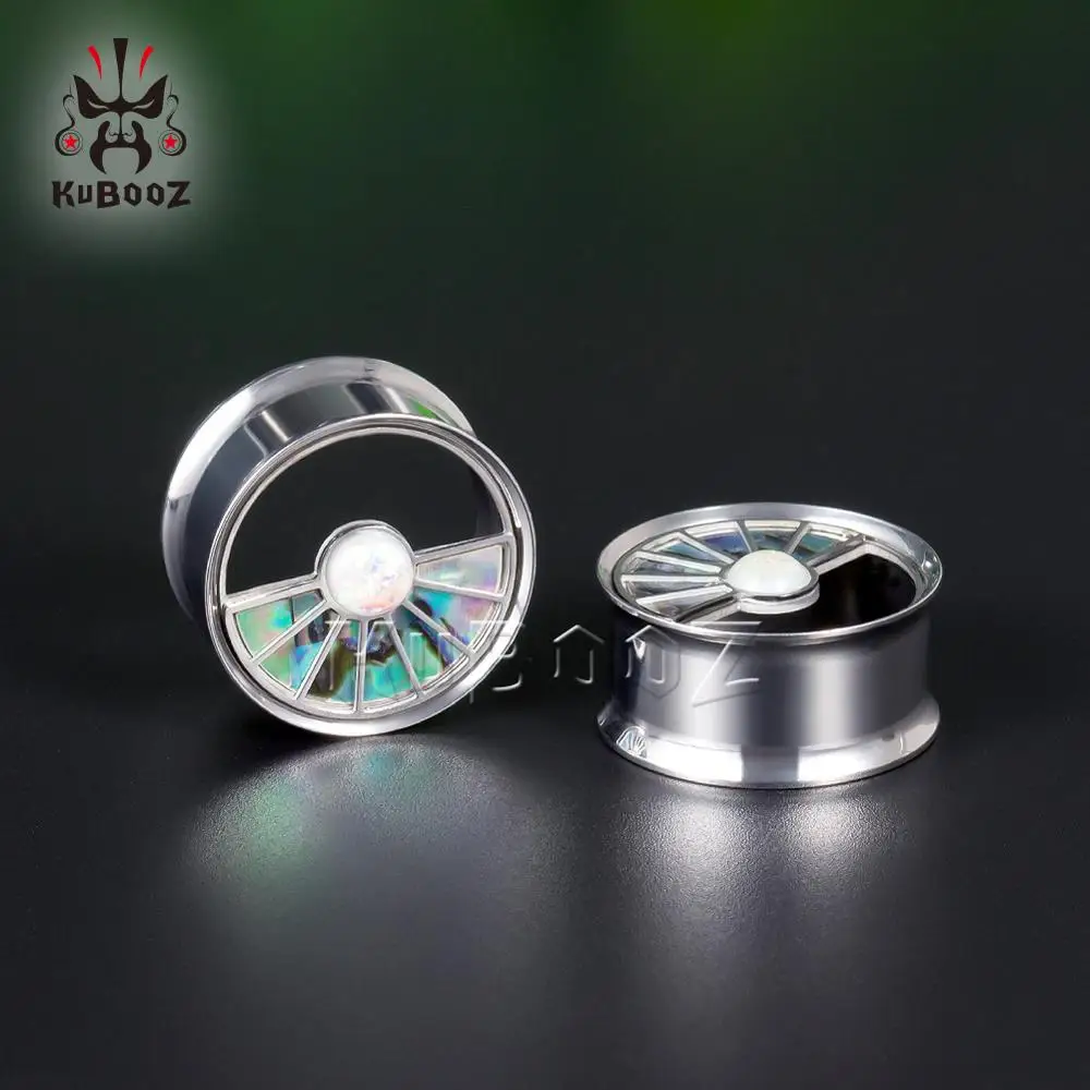 Wholesale Price Fan Stainless Steel Silver Color Ear Piercing Tunnels Expanders Plugs Stretchers Body Jewelry Earrings 34PCS