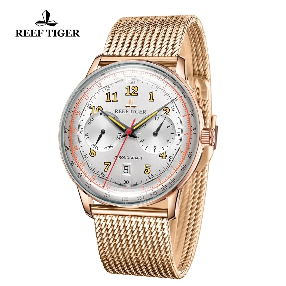 Reef Tiger/RT Top Brand Men Automatic Mechanical Watch Business Date Week Sapphire Glass Waterproof Stainless Steel Man Watches