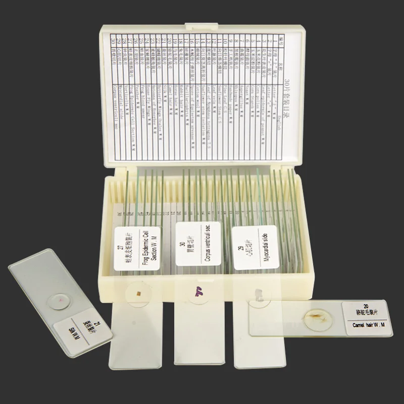 

Prepared Microscope Slides Glass Biological Specimen Animal Plant Human Tissue Slide for Student Education Studying 30 35 50