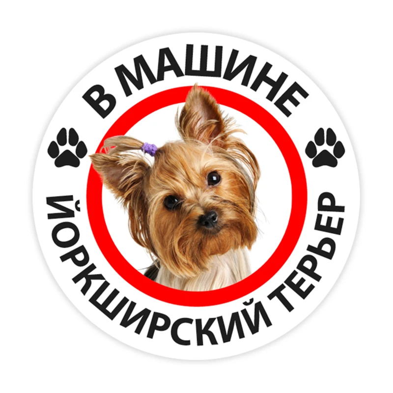 B0267# Yorkshire Terrier in the Car Self-adhesive Decal Car Sticker Waterproof Auto Decors on Bumper Rear Window