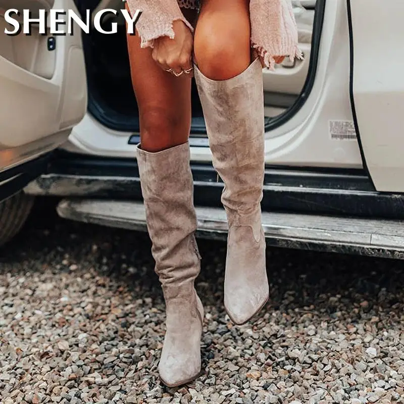 Winter Women Shoes Sexy High Pointed Toe Solid Color Slip-On Flock Warm Over The Knee Boots Ladies Mature Party Elegant Boots