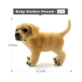 Perro Pequeño