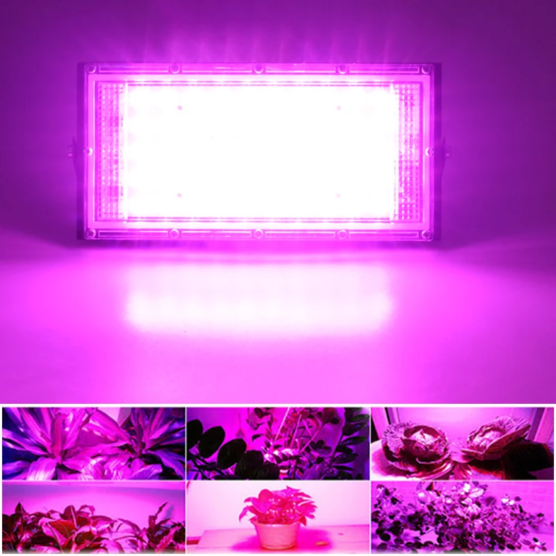 2pcs Phytolamp For Plants LED Grow Light Full Spectrum Plant Seeds Phyto Lamp 50W AC 220V Flowers For Decoration Indoor Ourdoor