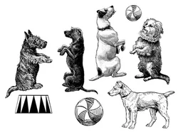 Lovely dogs Transparent Clear Stamps / Silicone Seals for DIY scrapbooking photo album/Card Making W1211