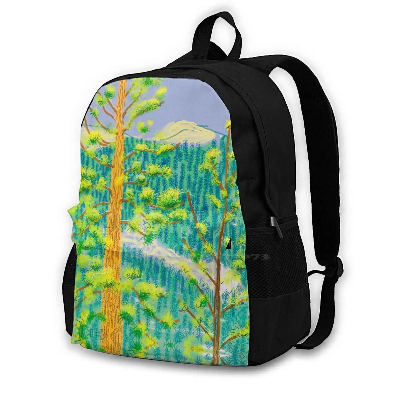 David Hockney Yosemite National Park Ipad Dra School Bags For Teenage Girls Laptop Travel Bags The David Hockney Foundation