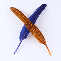 10Pcs/Lot Natural Pheasant Feathers for Crafts 20-25 CM Wedding Decorations Pheasant Feather Plumes Plumas