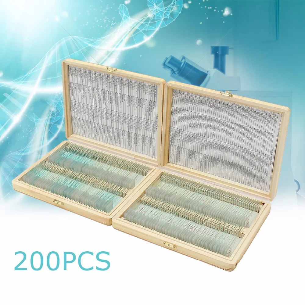 Biology 200PCS Prepared Biological Basic Science Microscope Glass Slides School and Laboratory English Label Teaching Samples