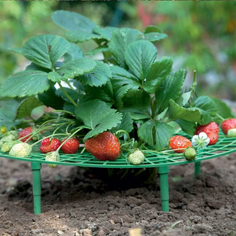 1 Pcs Round Plastic Strawberry Stand Balcony Grow Vegetables Fruit Climbing Pillar Gardening Bracket Plant Cages & Supports
