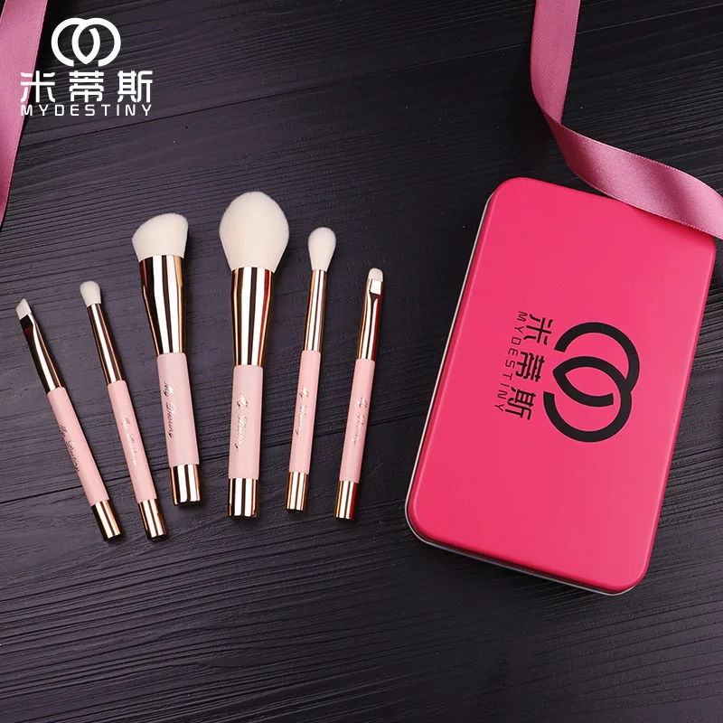 MyDestiny Make Up Brushes-Small magnet Series Cosmetic Brush Travelling set-6Pcs Synthetic Hair Portable Beginner Makeup Brushes