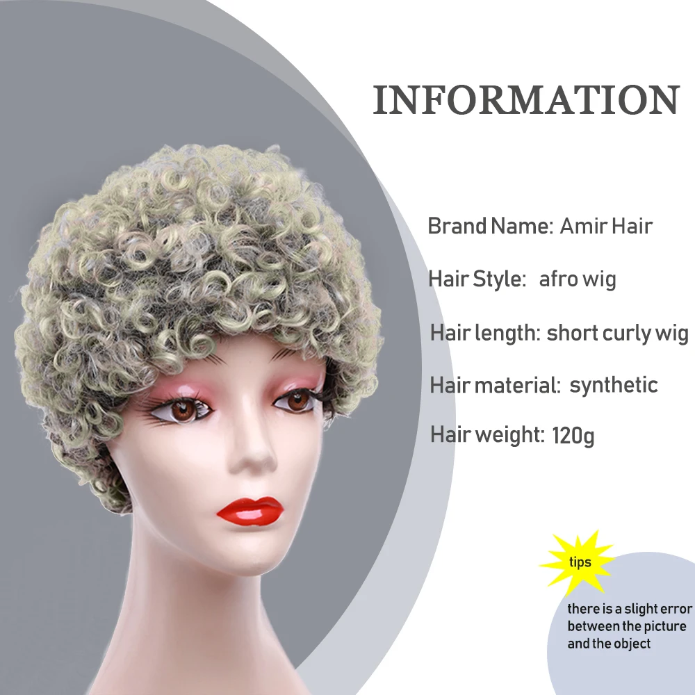 Amir Short Grey Afro Kinky Curly Wig for Women Synthetic Hair Wigs With Natural Looking Short Bob Wigs Cosplay Party