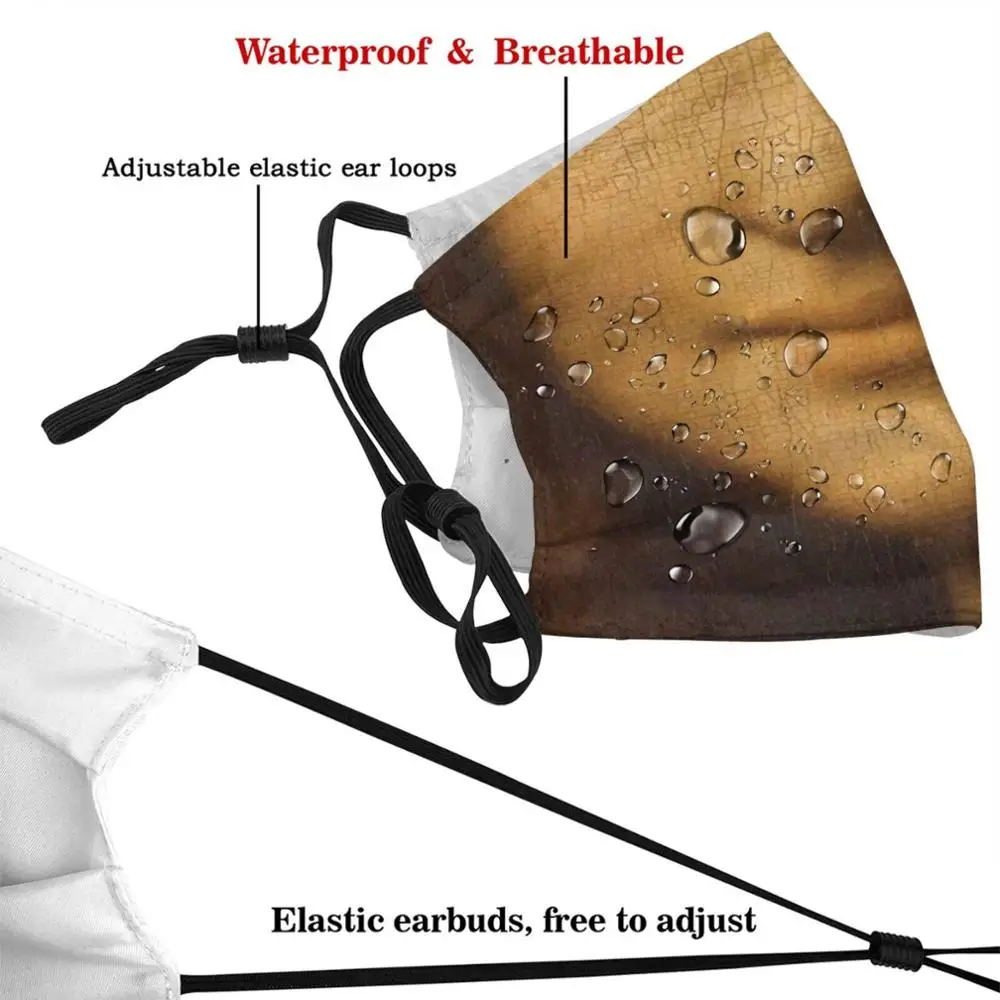 Mona Lisa Smile Custom Pattern Washable Filter Pm2.5 Adult Kids Mask Mona Lisa
