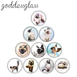 Cute Siamese cat Cup cat Love pet 10pcs 12mm/18mm/20mm/25mm Round photo glass cabochon demo flat back Making findings