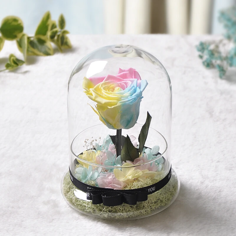 Free Shipping 10*15cm Split Glass Base Dome Vase Home Decor Transparent Fission Cover Friend Favor Gift Birthday Wedding Prop